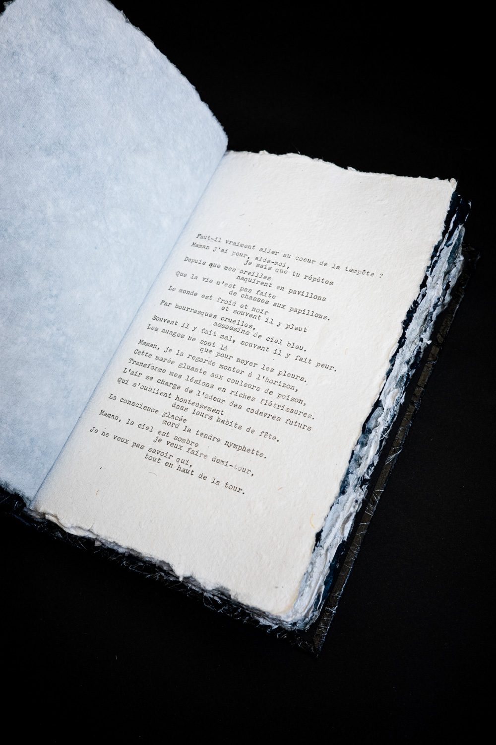 FENDU/E Artist's Book