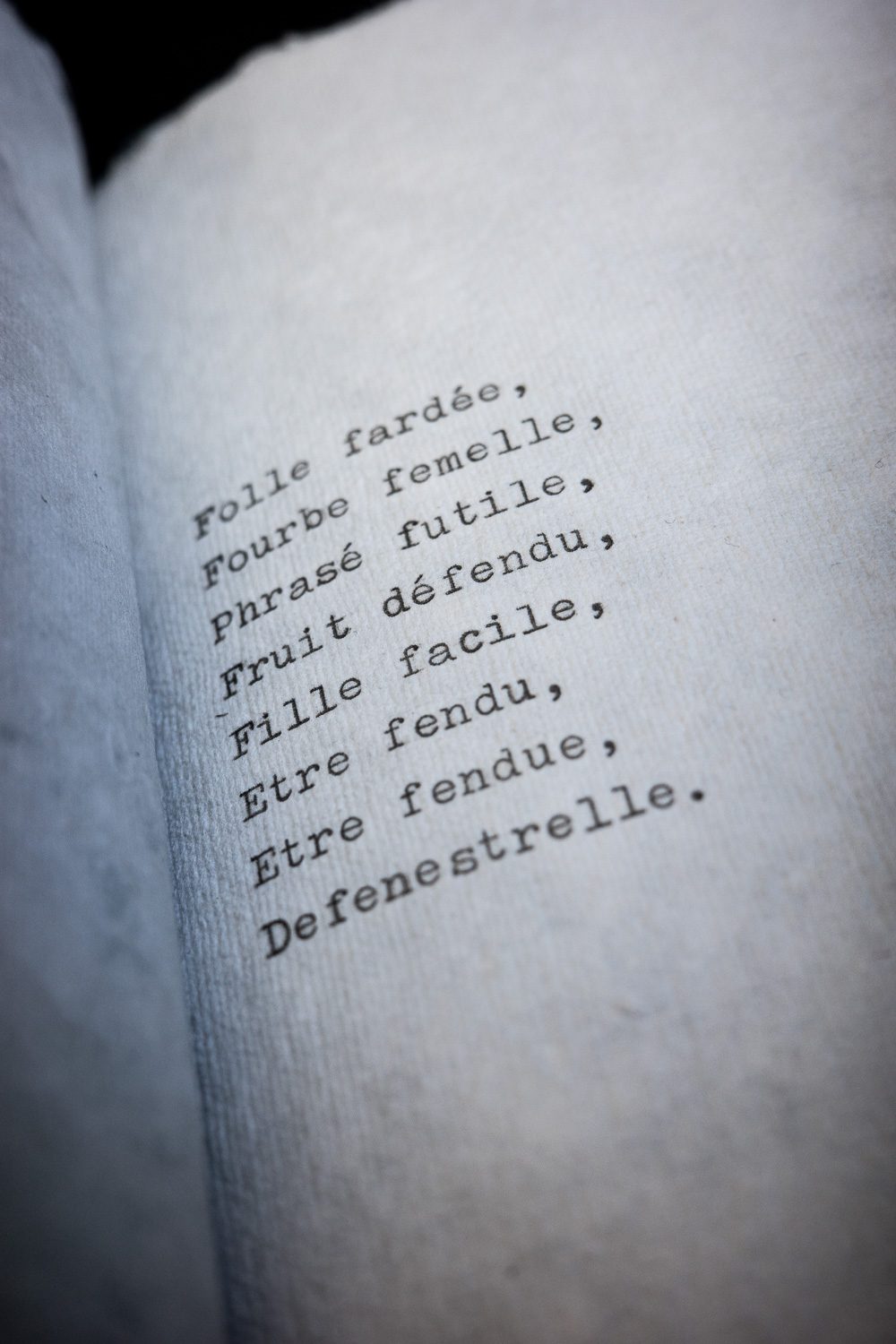 FENDU/E Artist's Book