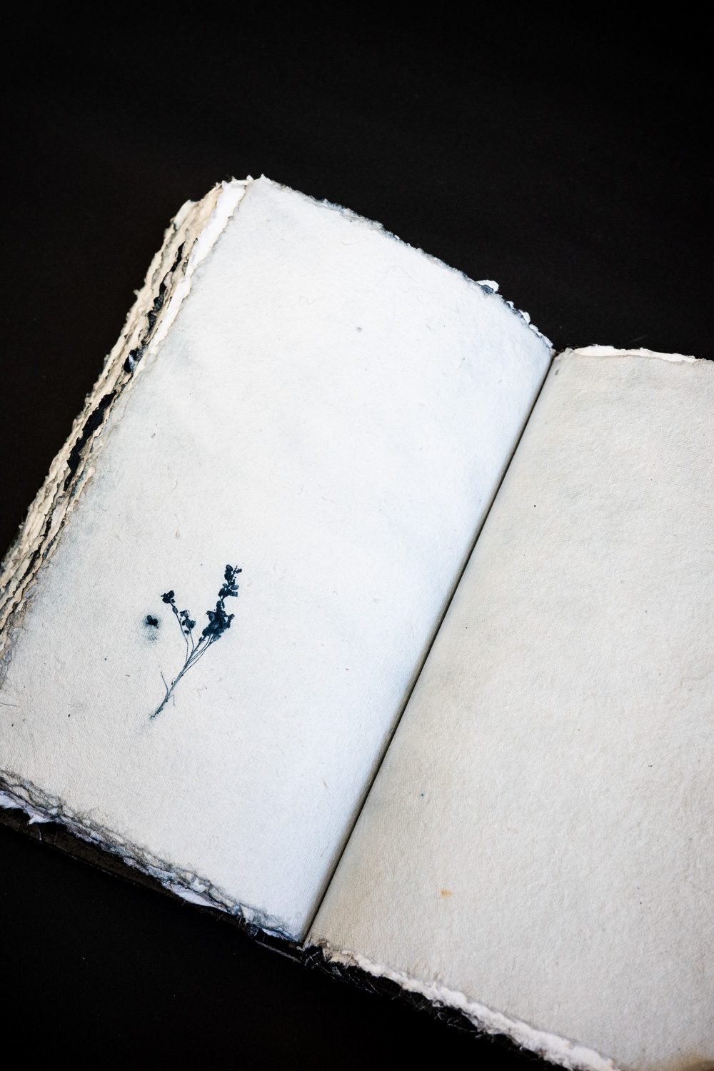FENDU/E Artist's Book