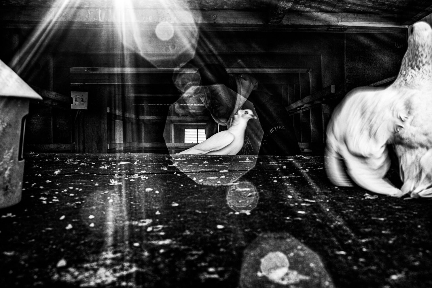 Nameless